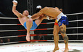 Результаты турнира по mix fight «Битва Чемпионов selection»