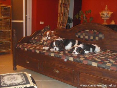 Medium_yanvar_2012_158