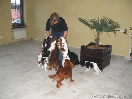 Medium_yanvar_2012_220