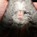 Micro_dsc08834