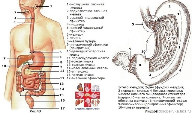Экзема на руках муж