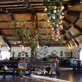 Thumb_crop_tree
