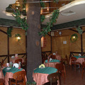 Thumb_crop_tree