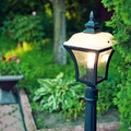 Thumb_crop_fonar