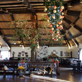 Thumb_crop_tree