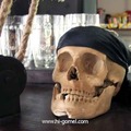 Thumb_crop_headbone