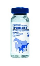сотрясение мозга у шиншиллы
